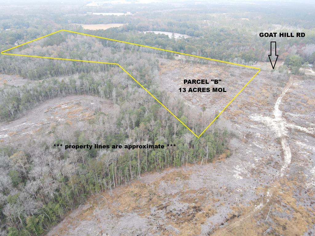 13-acres Goat Hill Road Samson, AL 36477 - Photo 1 of 19