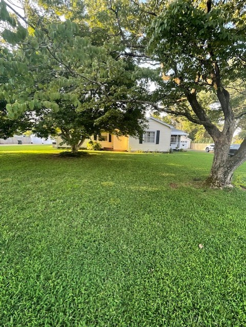 616 1st Street Lawrenceburg, TN 38464 - Photo 1 of 49 a view of a trees in a yard
