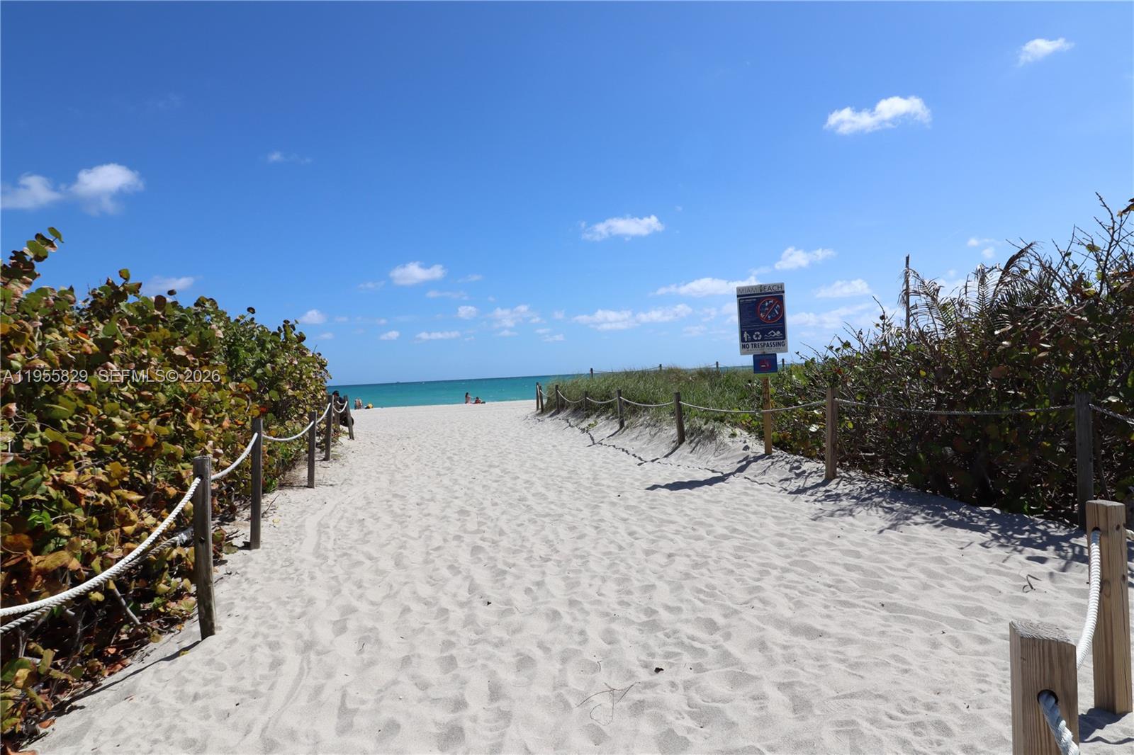 835 83rd Street, Unit 6 Miami Beach, FL 33141 - Photo 6 of 24