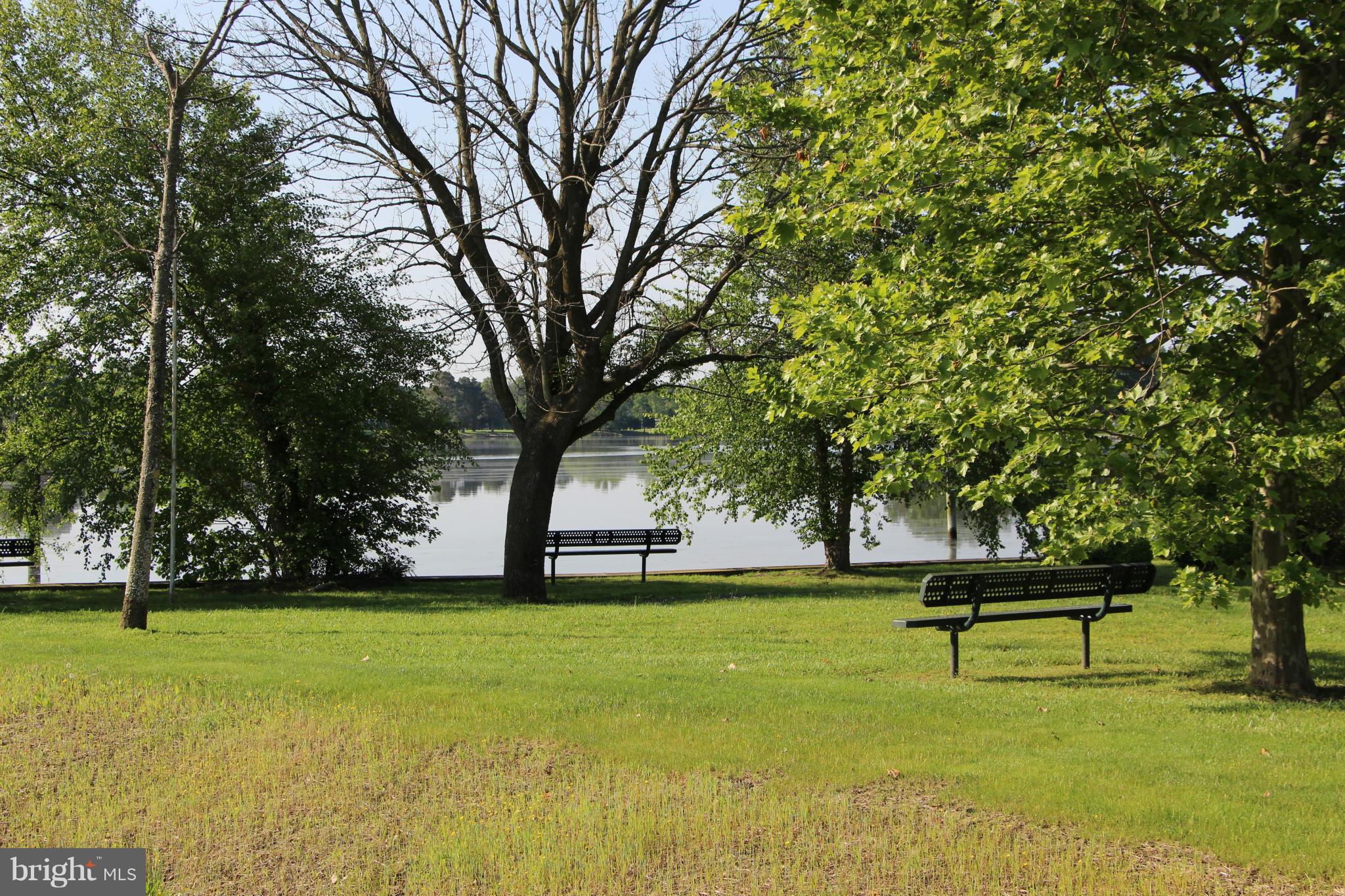7370 Station Road Newcomb, MD 21653 - Photo 29 of 30 a view of a park with trees