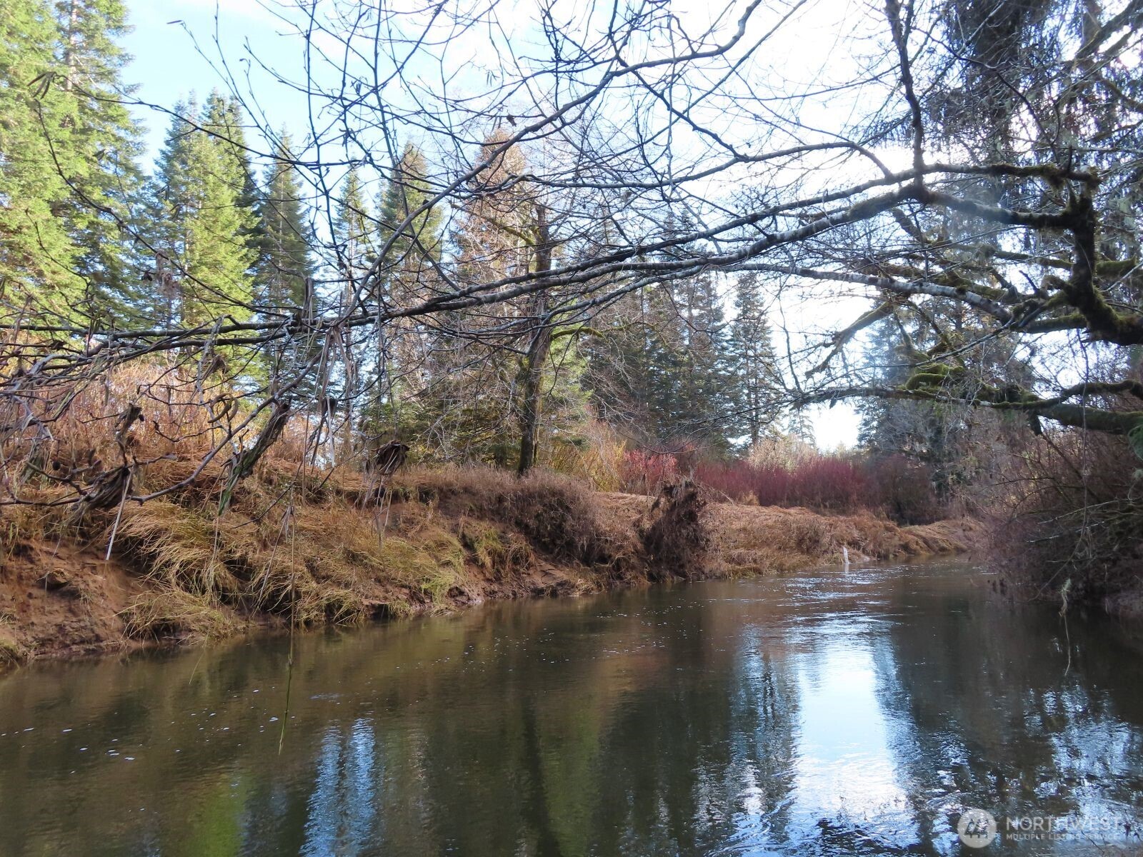 2431 North River Road Cosmopolis, WA 98537 - Photo 17 of 34 Gallery Image 17