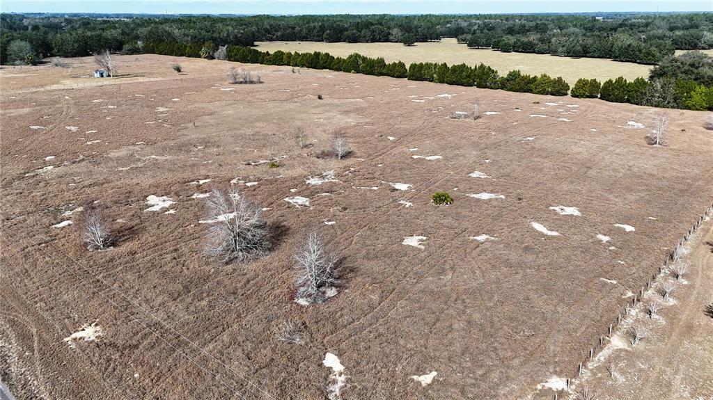 Hammock Grove Road Groveland, FL 34736 - Photo 5 of 9