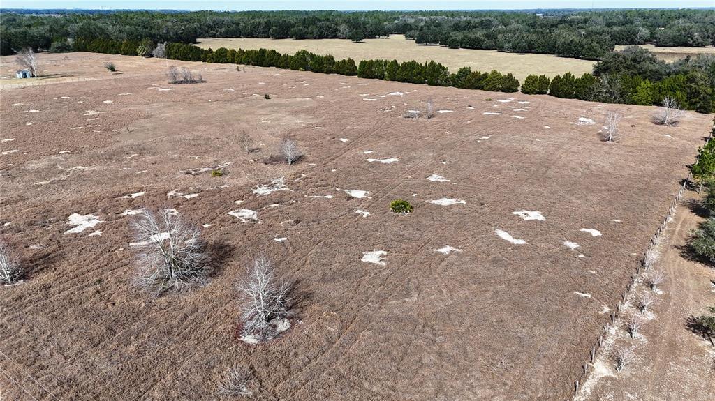 Hammock Grove Road Groveland, FL 34736 - Photo 6 of 9