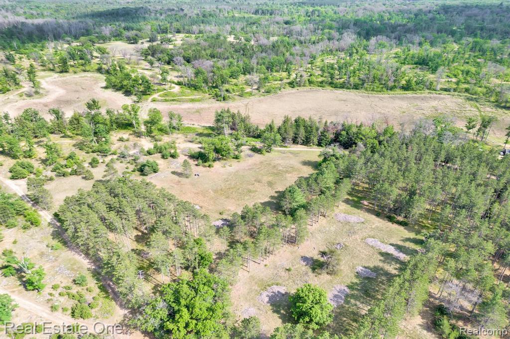 0 East Scribner Road Rose City, MI 48654 - Photo 19 of 20 Gallery Image 19
