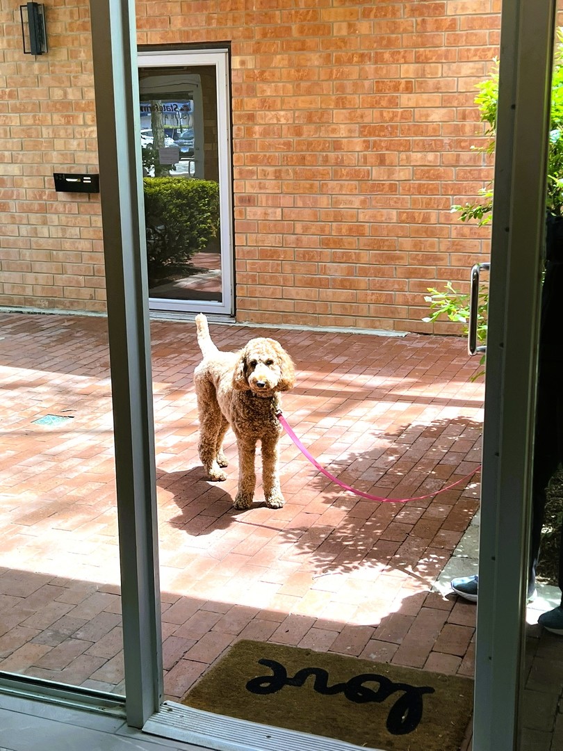 630 Vernon Avenue, Unit 12 Glencoe, IL 60022 - Photo 4 of 7