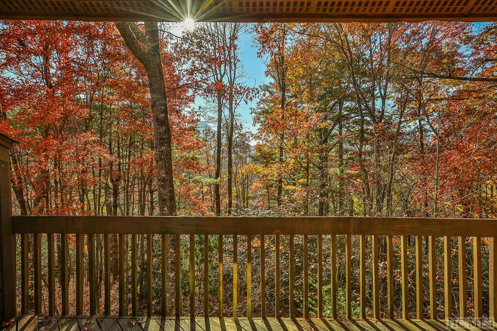 228 Emerald Ridge Road, Unit 59 Sapphire, NC 28774 - Photo 17 of 43 Gallery Image 17