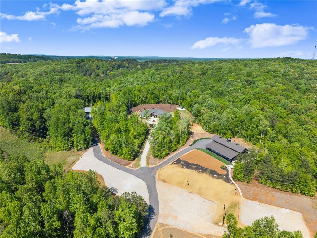3263 Tanners Mill Road Gainesville, GA 30507 - Photo 183 of 197 Gallery Image 183