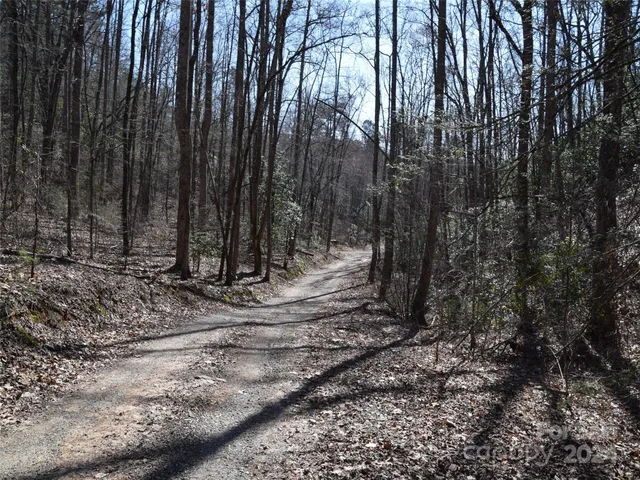 $30,000 | Lot 5 Horseshoe Bluff, Whittier, NC 28789