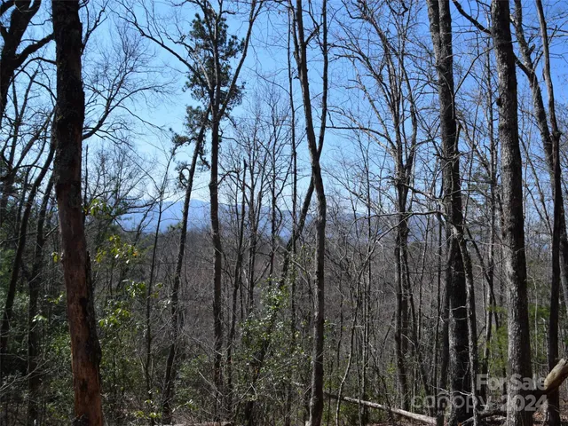 a view of a backyard of the house
