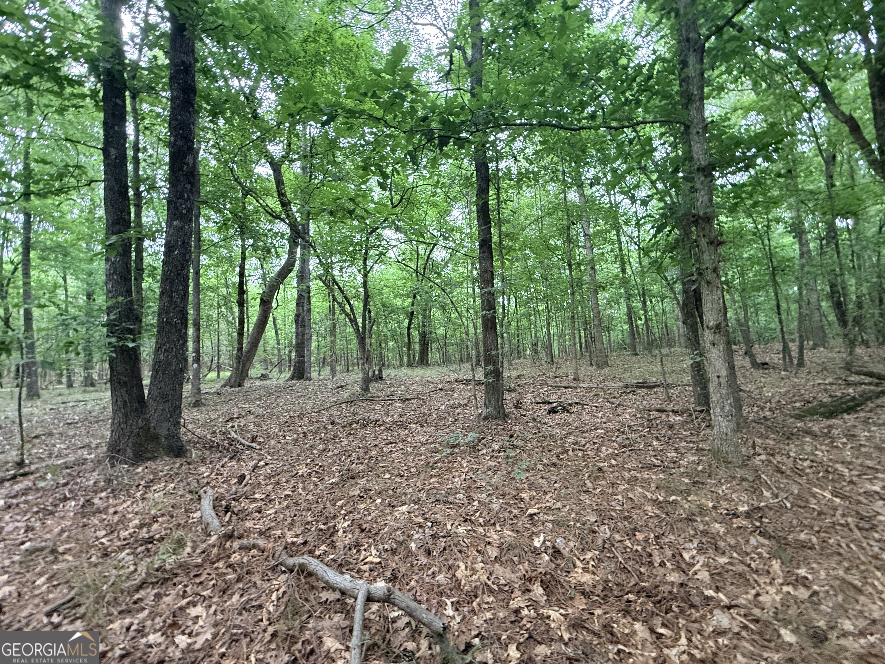 2 Bethesda Church Road Lexington, GA 30648 - Photo 23 of 66