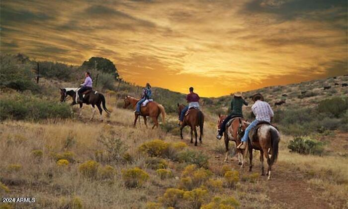 0 North Adams Way, Unit 61A Florence, AZ 85132 - Photo 2 of 10 horse riding