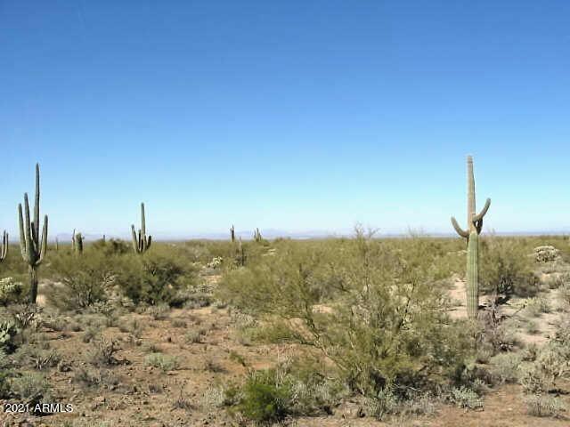 0 North Adams Way, Unit 61A Florence, AZ 85132 - Photo 4 of 10 Florence 4