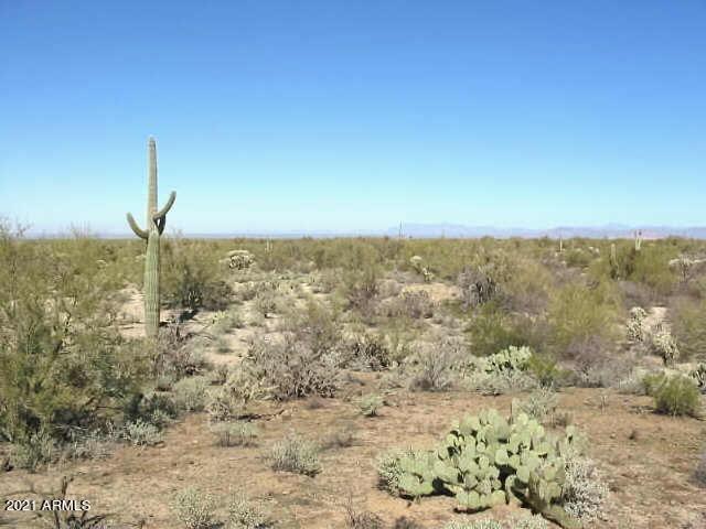 0 North Adams Way, Unit 61A Florence, AZ 85132 - Photo 7 of 10 Florence 1