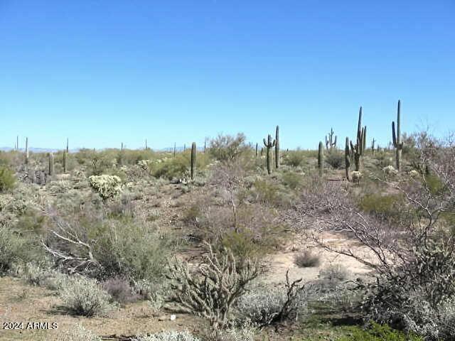 0 North Adams Way, Unit 61A Florence, AZ 85132 - Photo 9 of 10 Florence 2