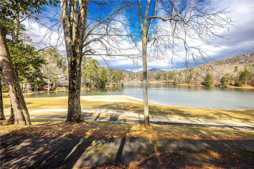 135 Chestnut Rise Trail, Unit 441C Jasper, GA 30143 - Photo 58 of 61
