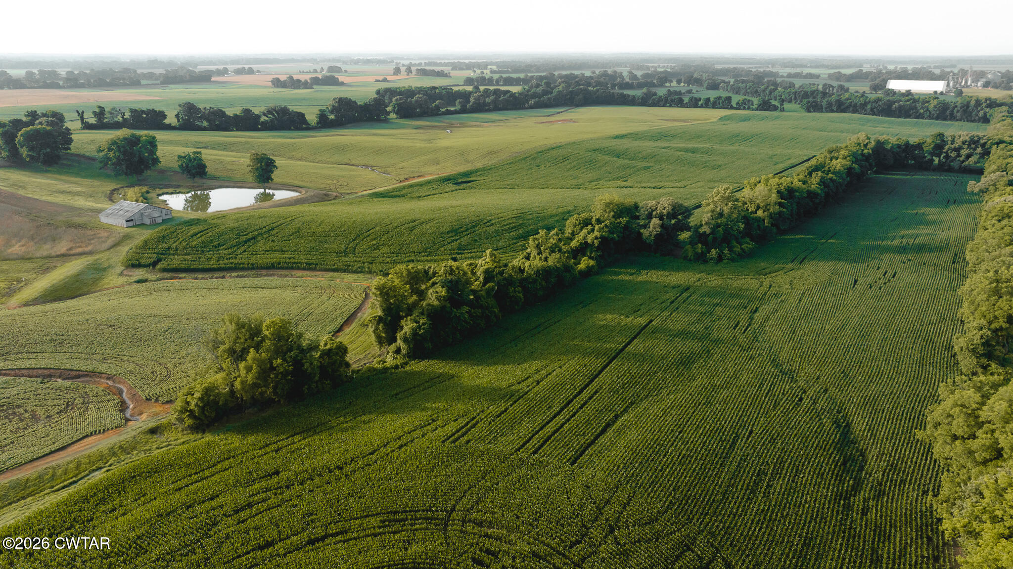 0 Jack Tate Road Obion, TN 38240 - Photo 8 of 23 DJI_20260531141143_0091_D
