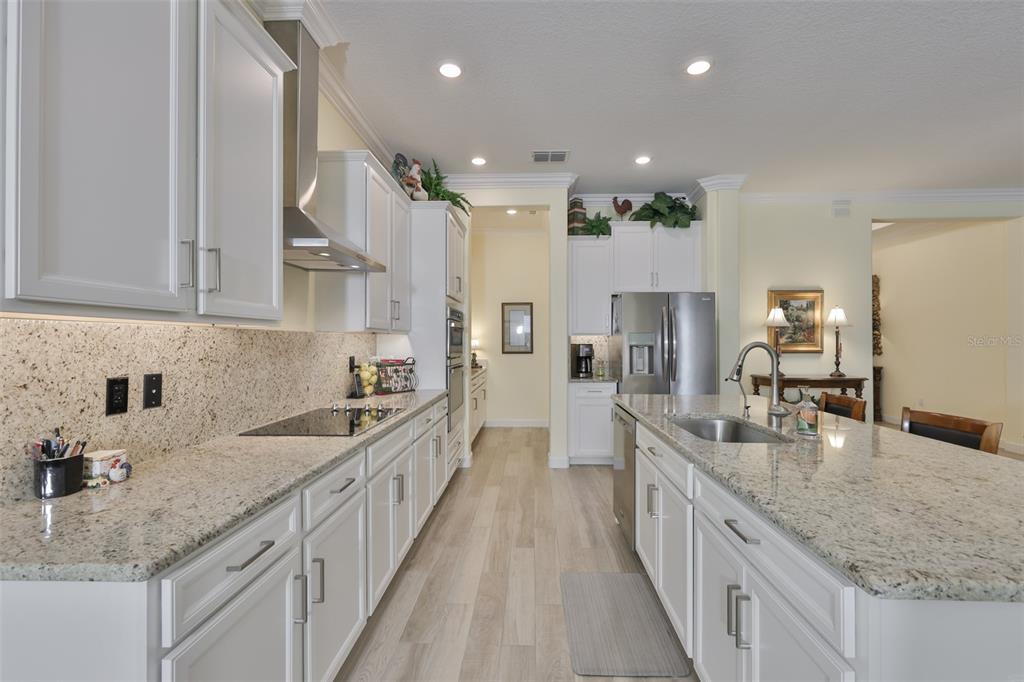 16955 Scuba Crest Street Wimauma, FL 33598 - Photo 4 of 59