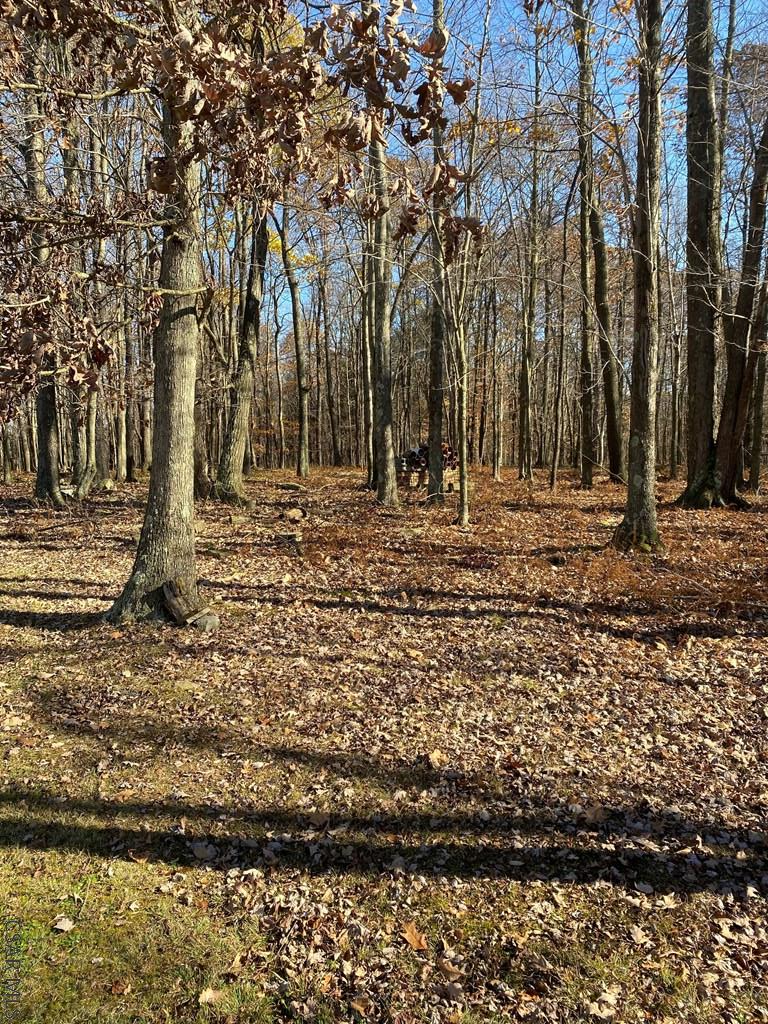 23 Schultz Road Homer City, PA 15748 - Photo 17 of 22