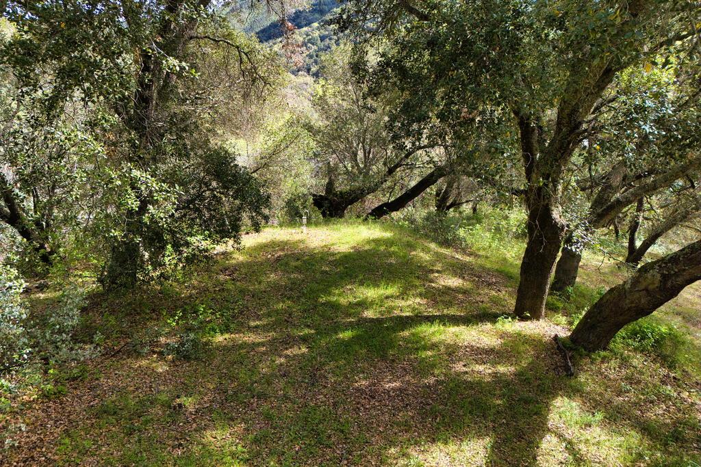 15805 Uvas Road Morgan Hill, CA 95037 - Photo 41 of 41 a view of yard