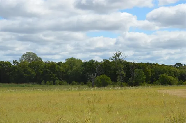 a view of a grassy area
