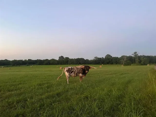 a view of an ocean with beach