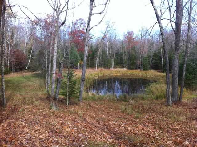 3595 Hilltop View Road Barnum, MN 55707 - Photo 12 of 15 Gallery Image 12