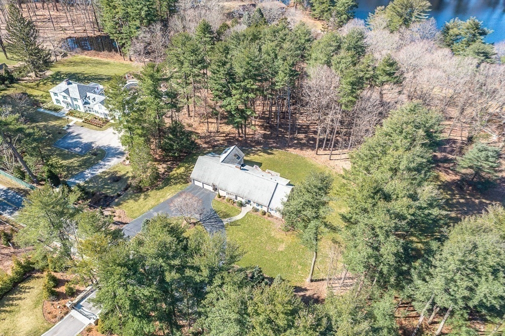 359 Grove Street Needham, MA 02492 - Photo 2 of 37 a view of a tree with a yard