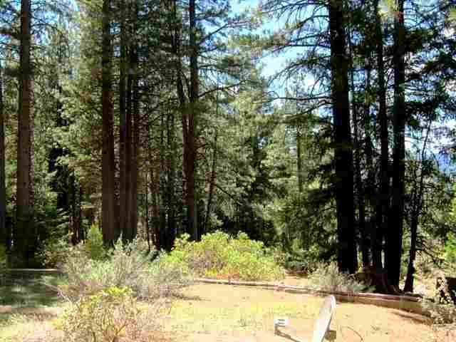 1450 Ringtail Road Graeagle, CA 96103 - Photo 14 of 19