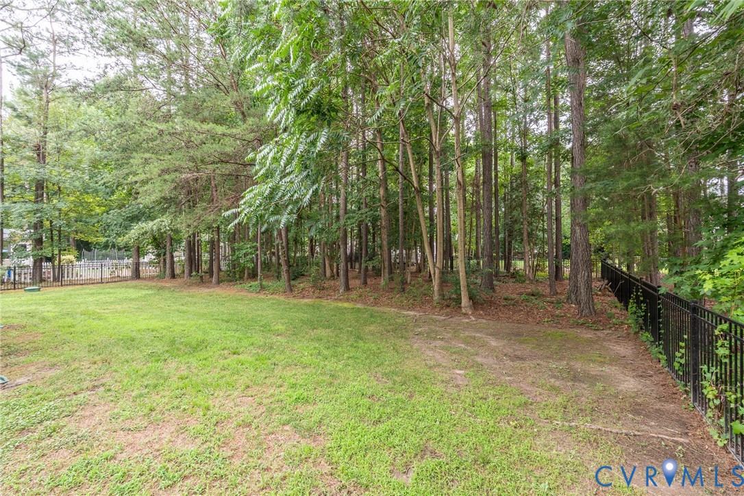 10437 Virginia Rail Court Providence Forge, VA 23140 - Photo 11 of 56
