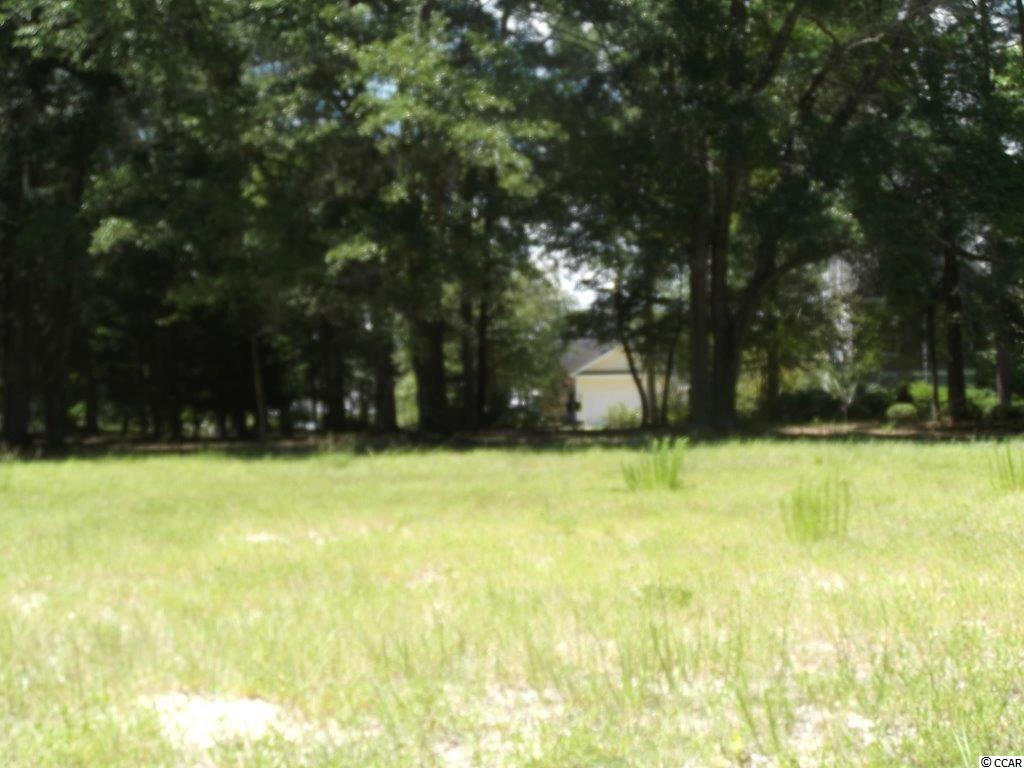 9230 Rivendell Place Calabash, NC 28467 - Photo 1 of 14 Gallery Image 1