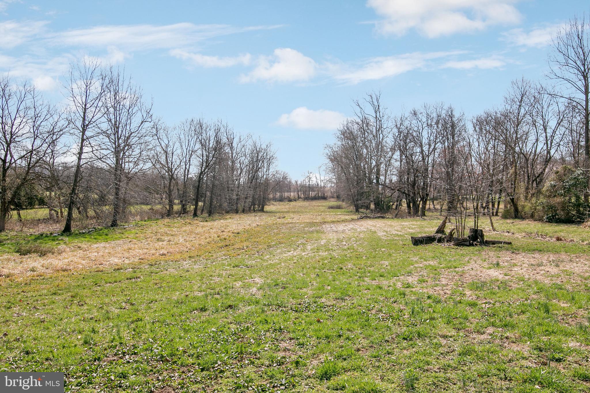 3611 Petersville Road Knoxville, MD 21758 - Photo 46 of 50 VIEW OF BACK ACREAGE