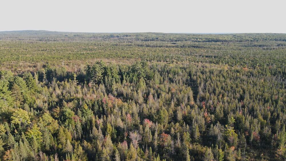 Vl River Lake Road Roscommon, MI 48653 - Photo 23 of 35