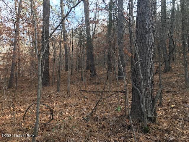 0 Tar Springs Road Cloverport, KY 40111 - Photo 20 of 35 jason.jpg22