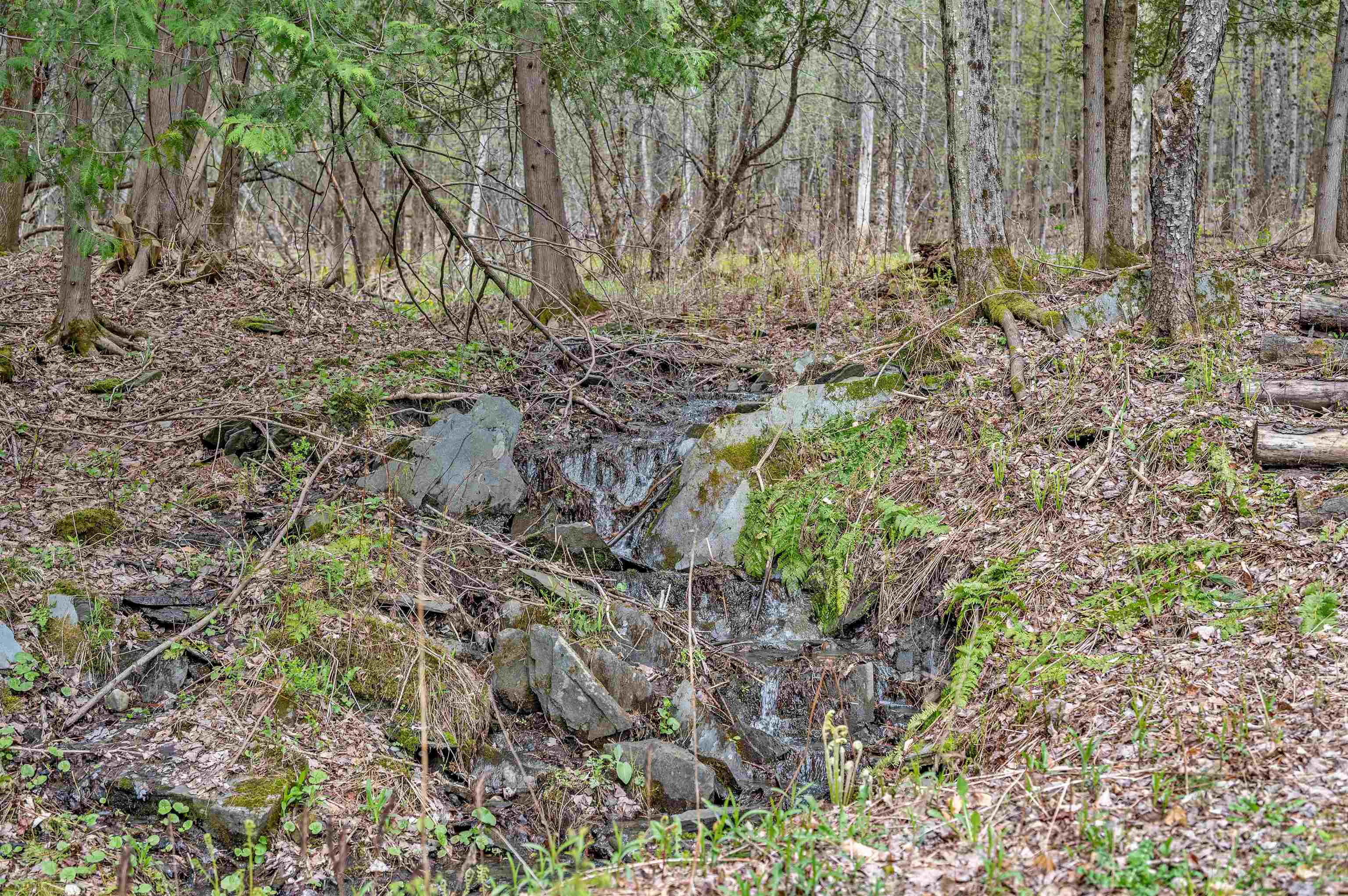 90 Sugarwoods Road Barre Town, VT 05641 - Photo 52 of 60
