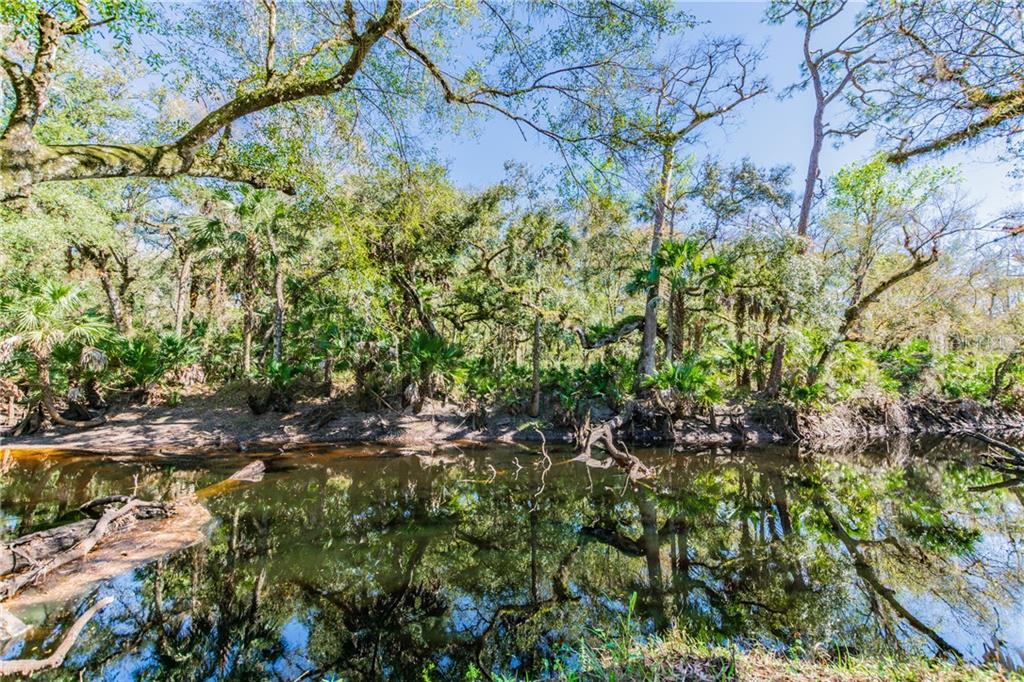 3205 North Tanner Road Orlando, FL 32826 - Photo 1 of 1 Econlockhatchee River access