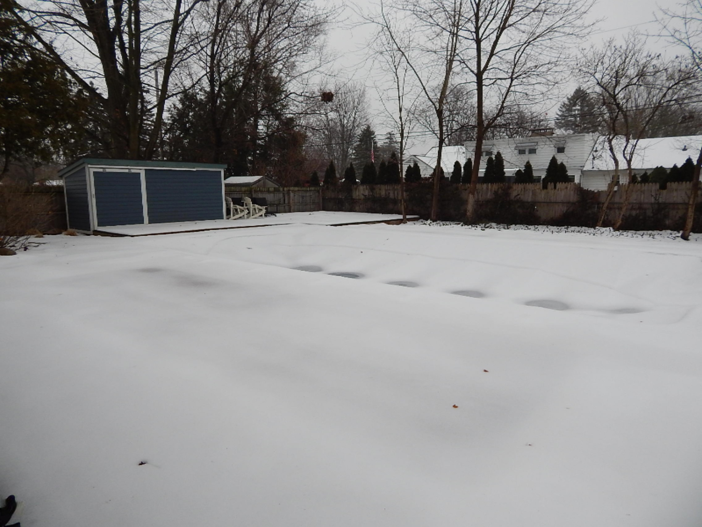 907 East Street Three Rivers, MI 49093 - Photo 47 of 51 backyard pool