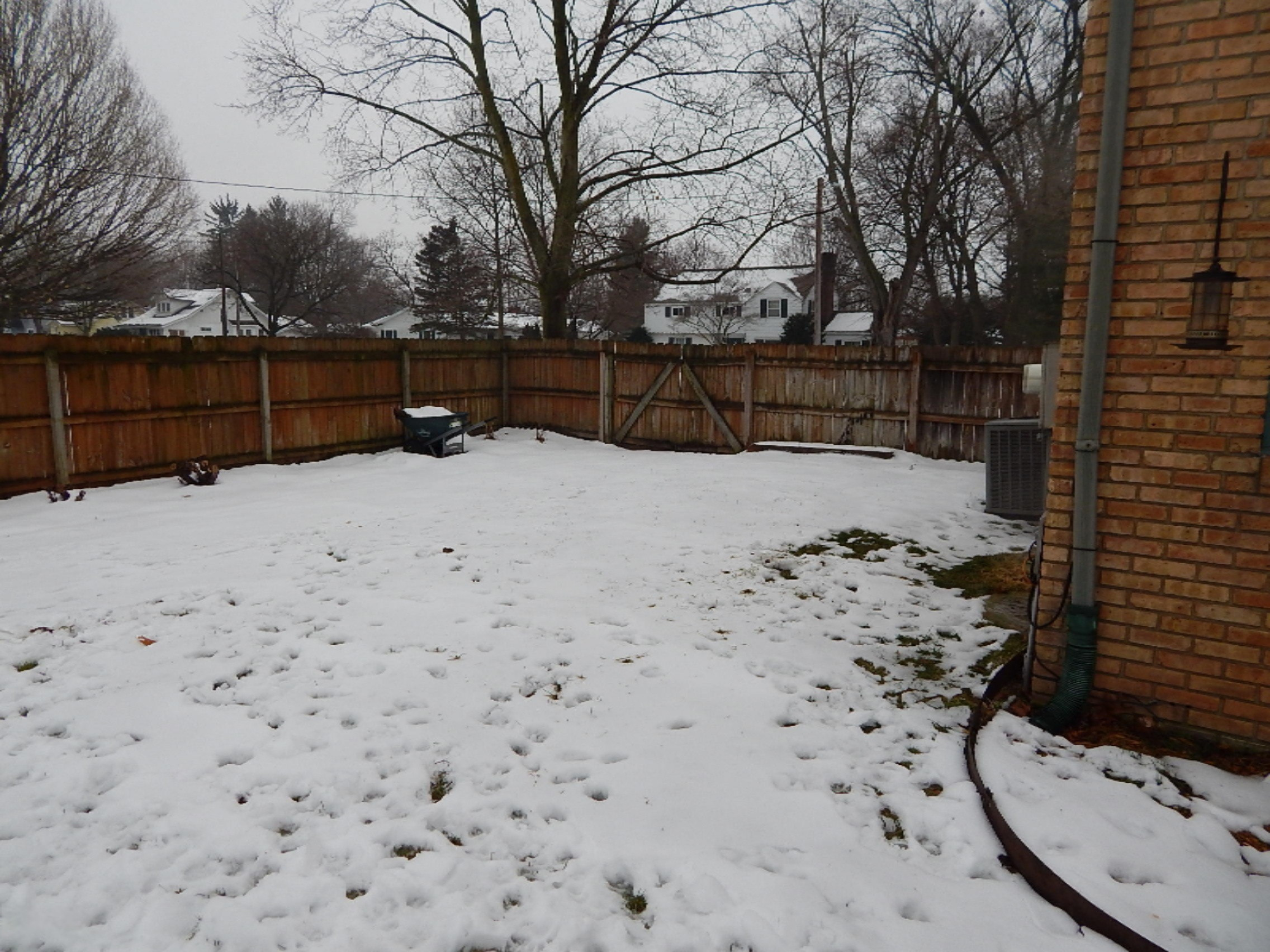 907 East Street Three Rivers, MI 49093 - Photo 49 of 51 backyard side yard