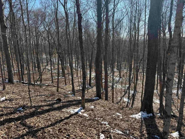 $1,399,000 | 0 State Road 237, English, IN 47118