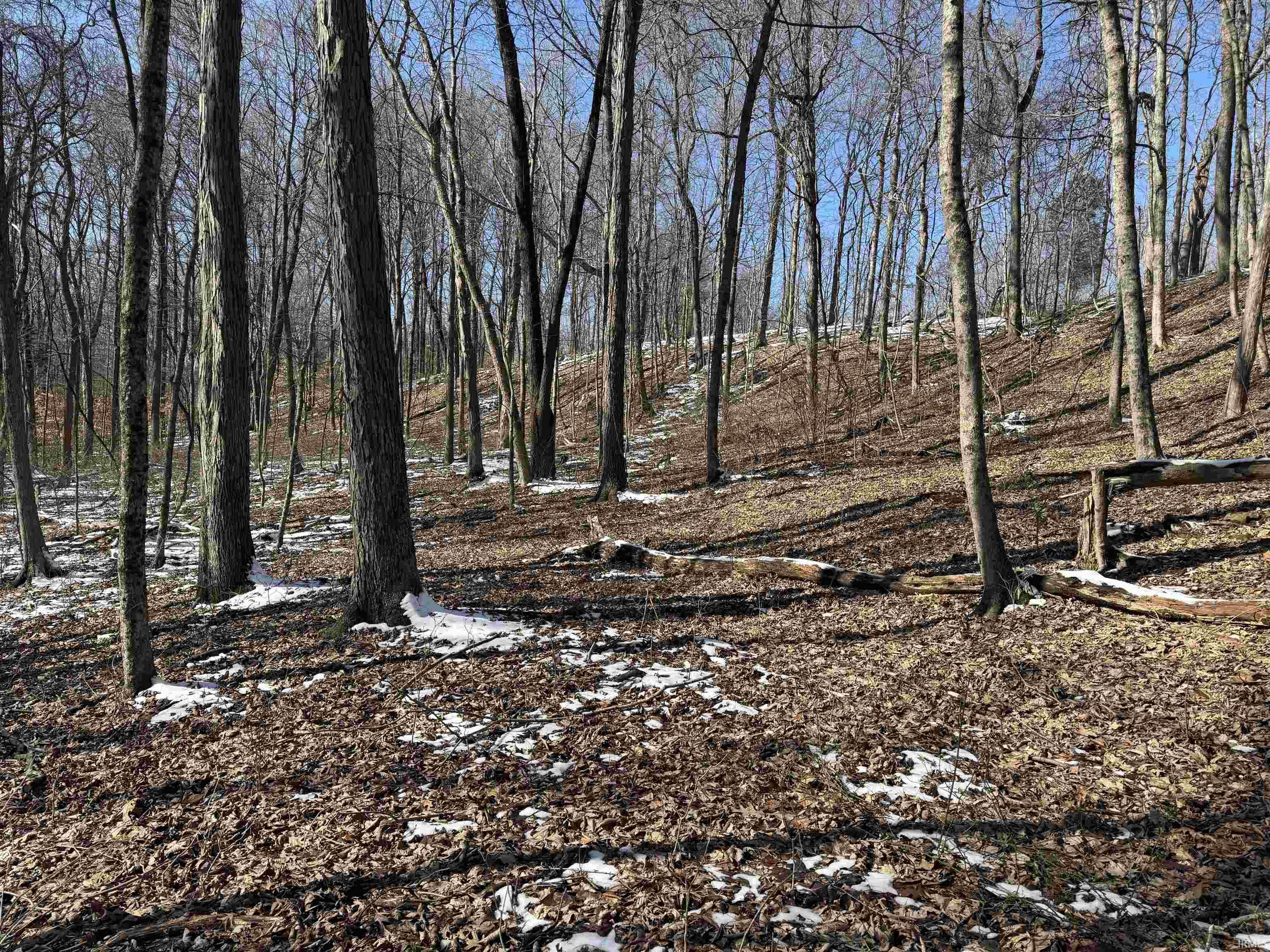 0 State Road 237 English, IN 47118 - Photo 16 of 36