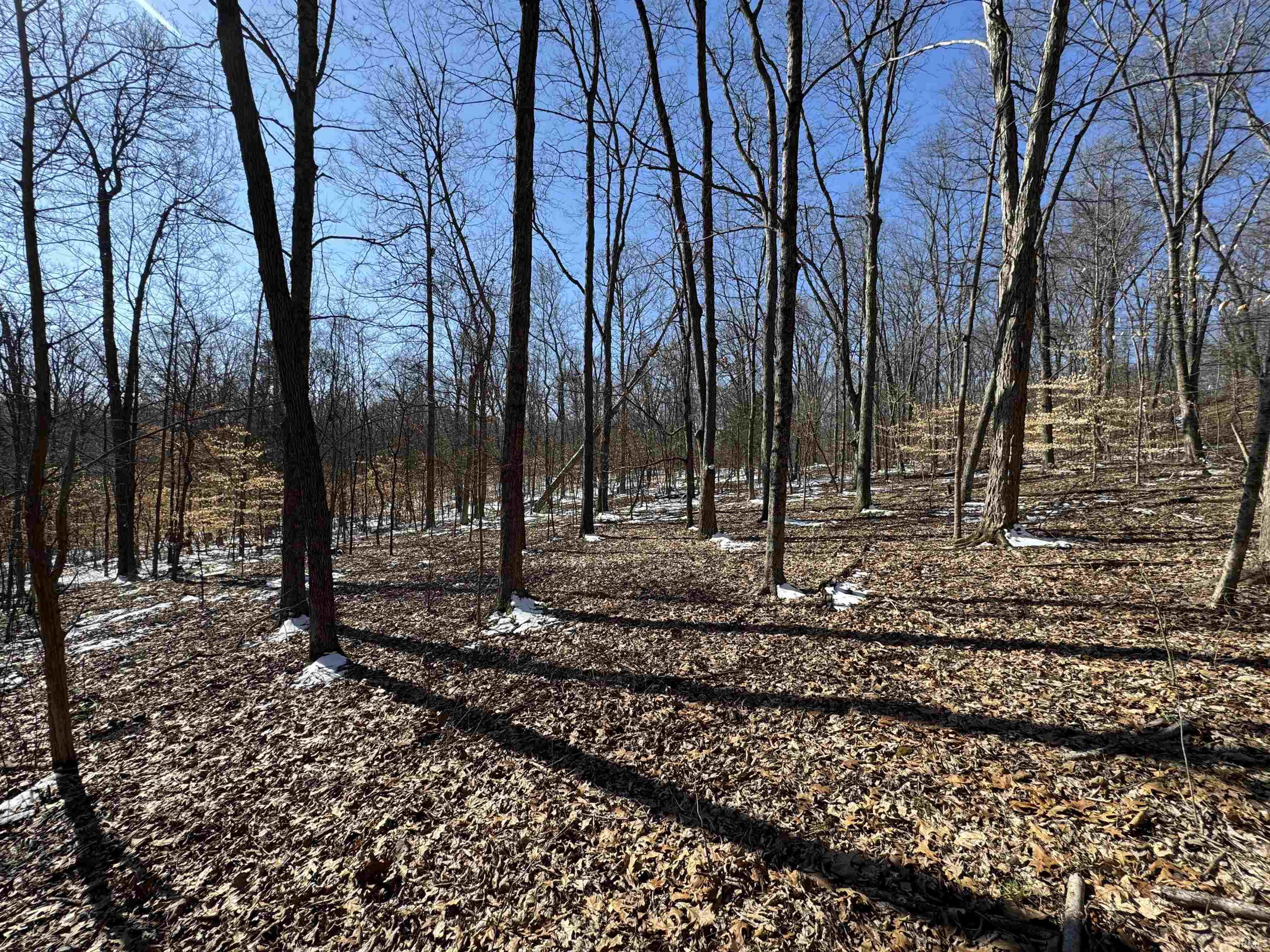 0 State Road 237 English, IN 47118 - Photo 17 of 36