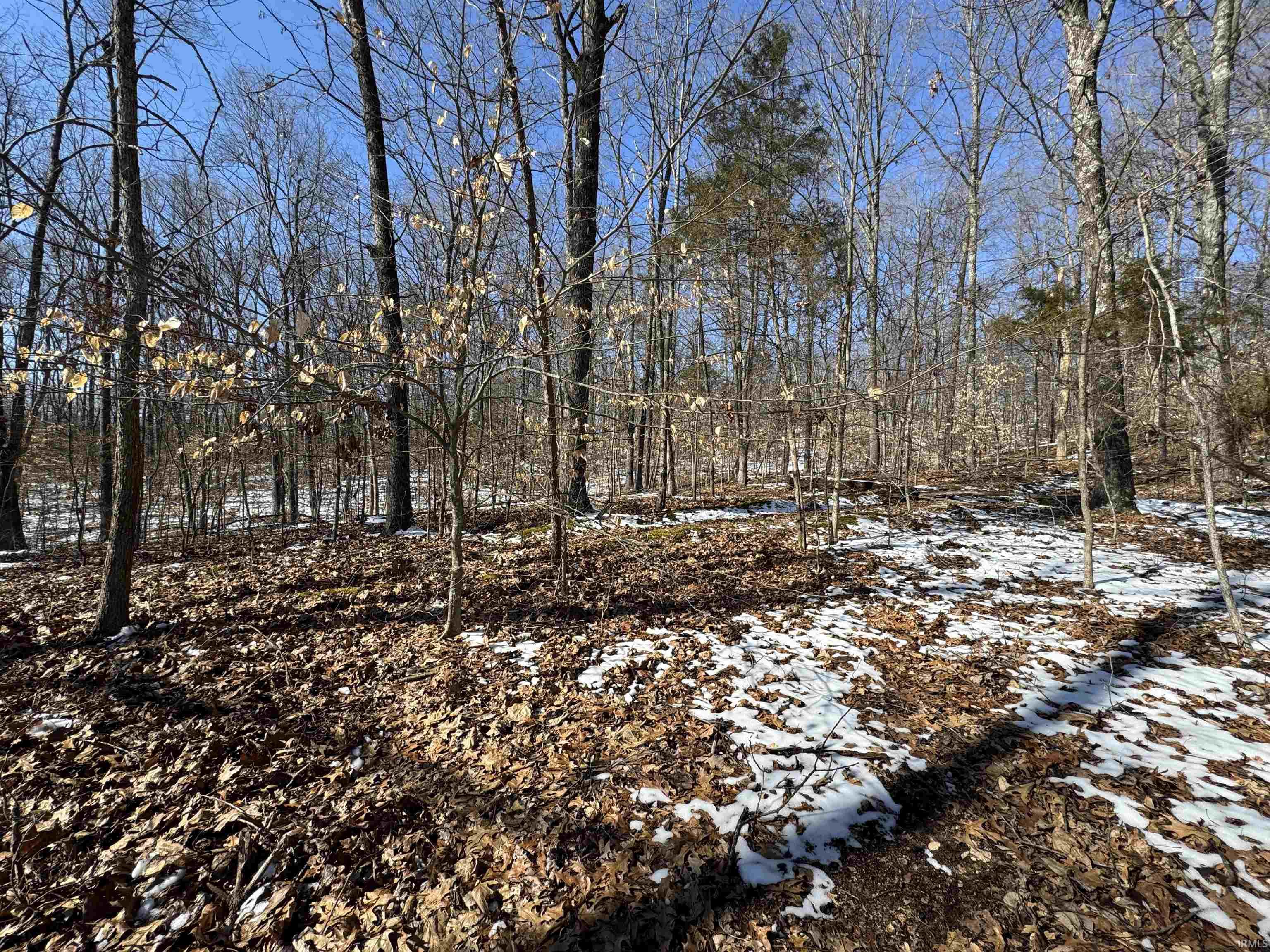 0 State Road 237 English, IN 47118 - Photo 18 of 36