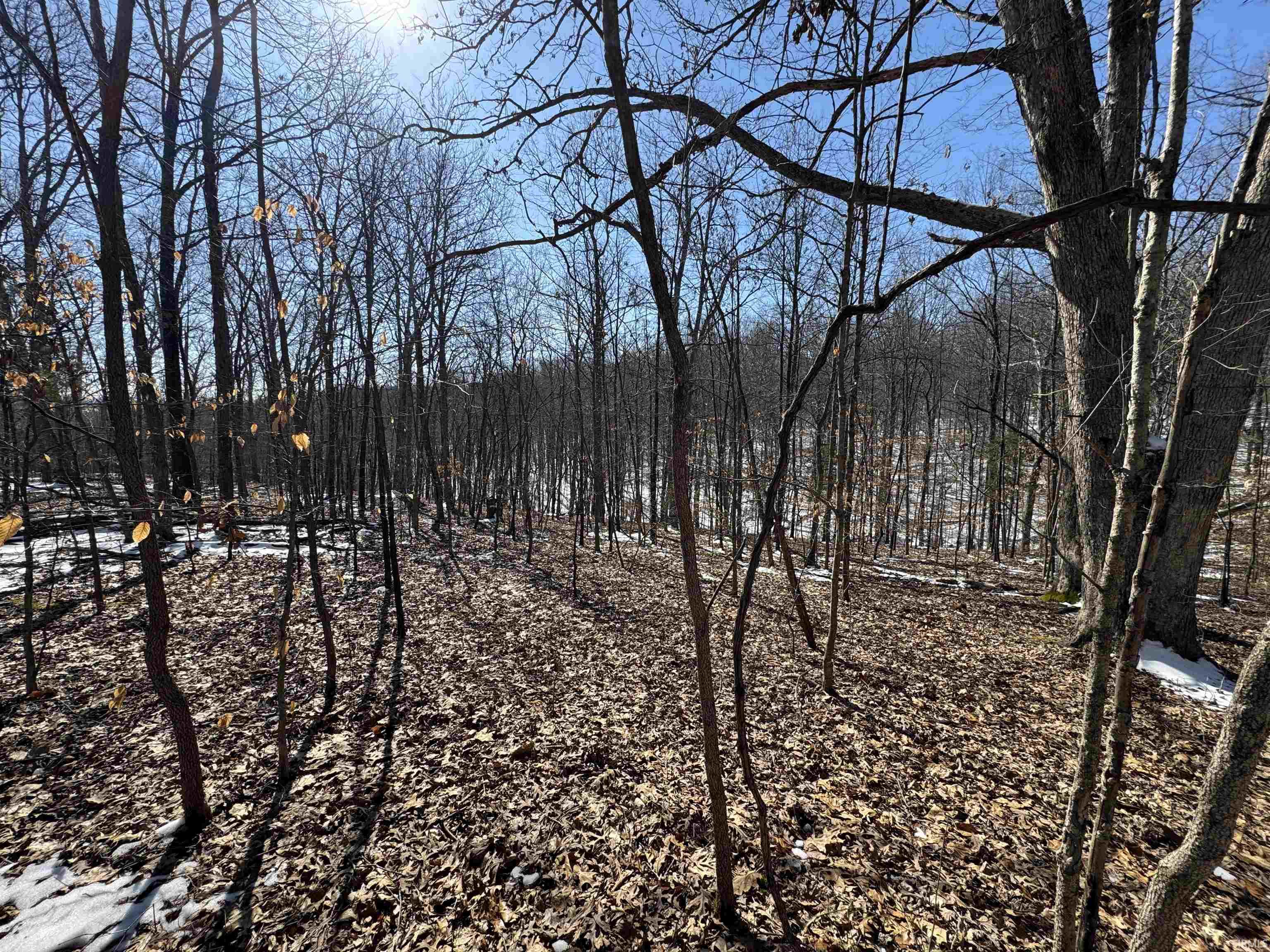 0 State Road 237 English, IN 47118 - Photo 19 of 36