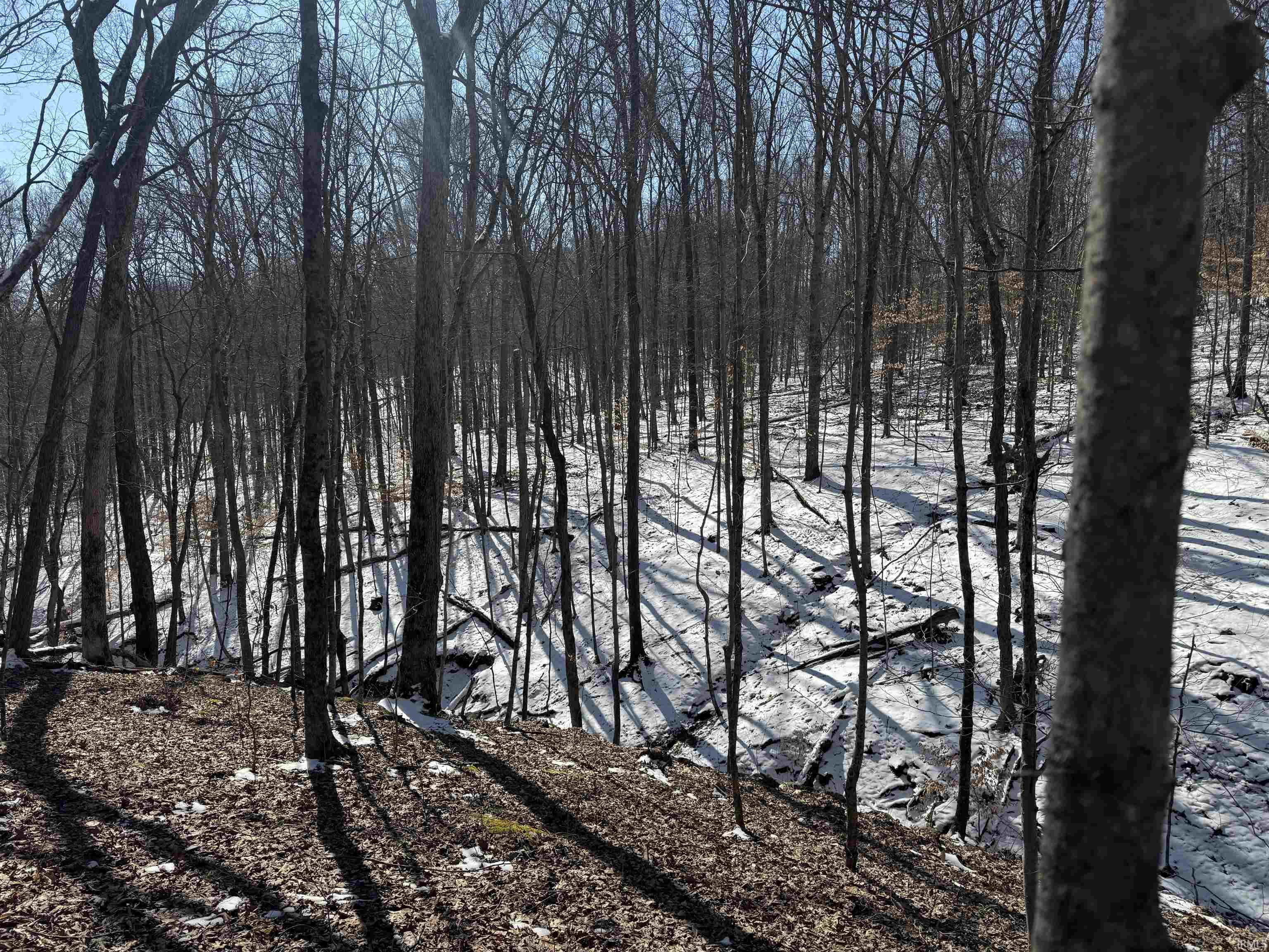 0 State Road 237 English, IN 47118 - Photo 21 of 36