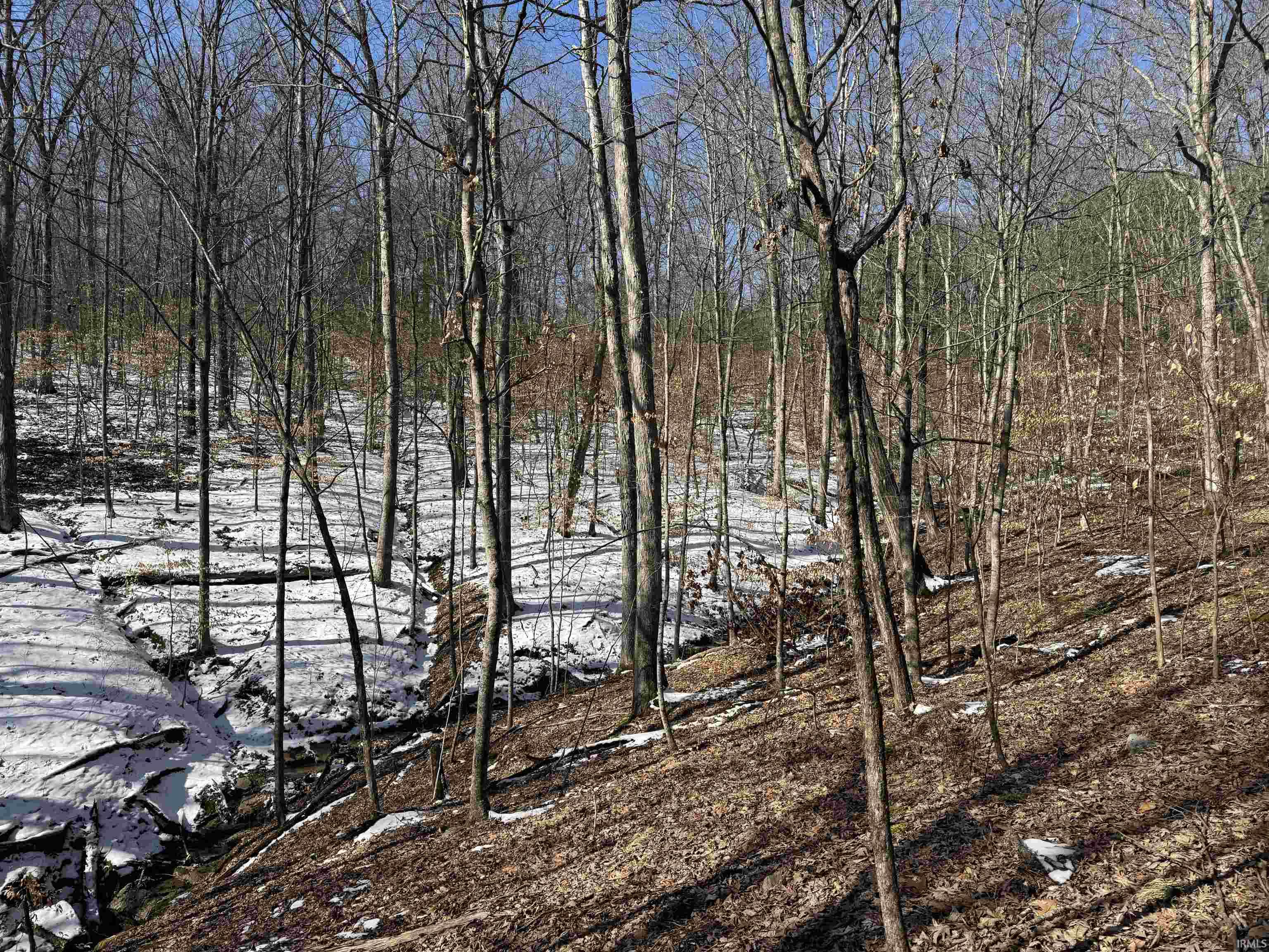 0 State Road 237 English, IN 47118 - Photo 22 of 36