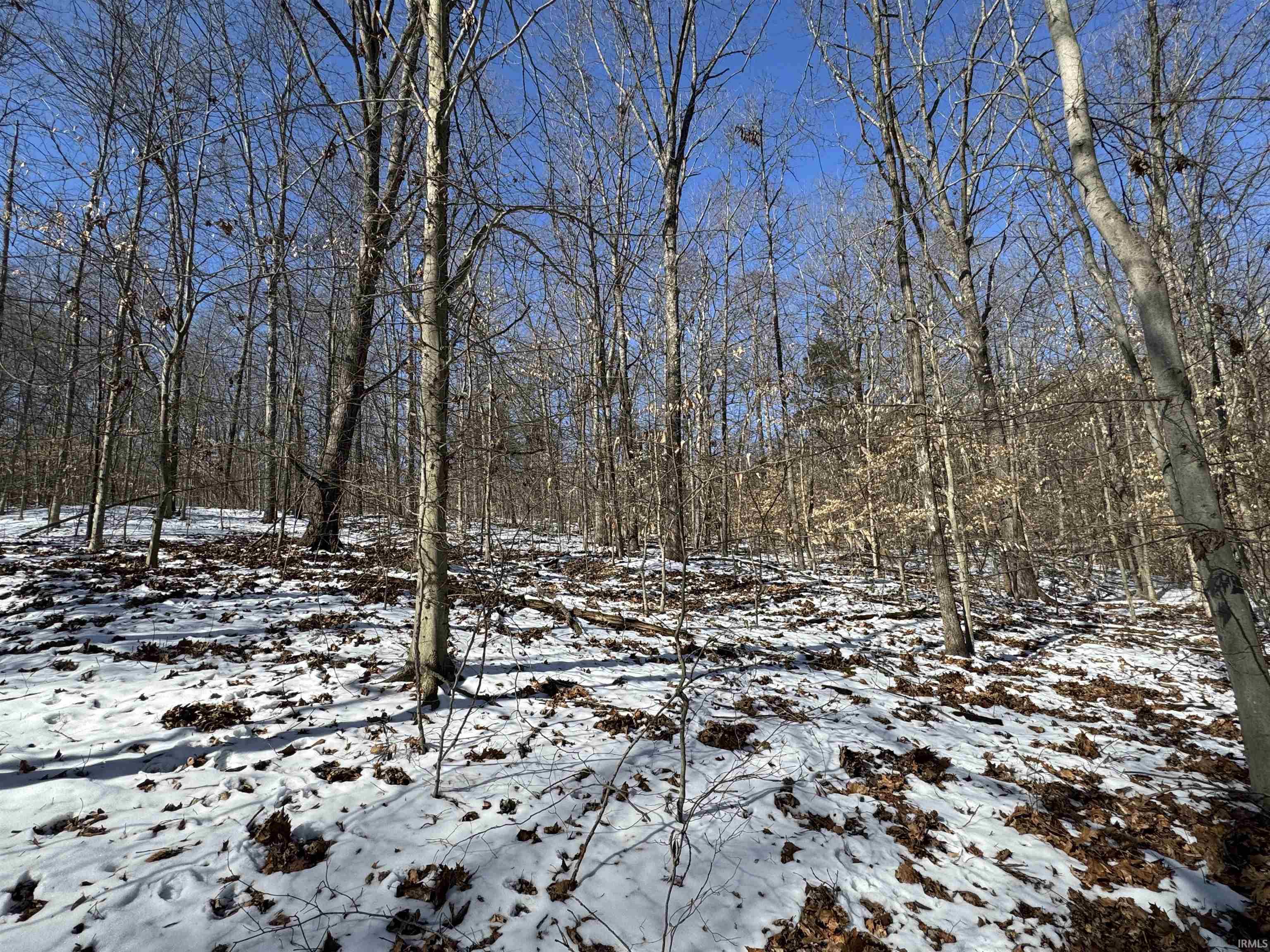 0 State Road 237 English, IN 47118 - Photo 25 of 36