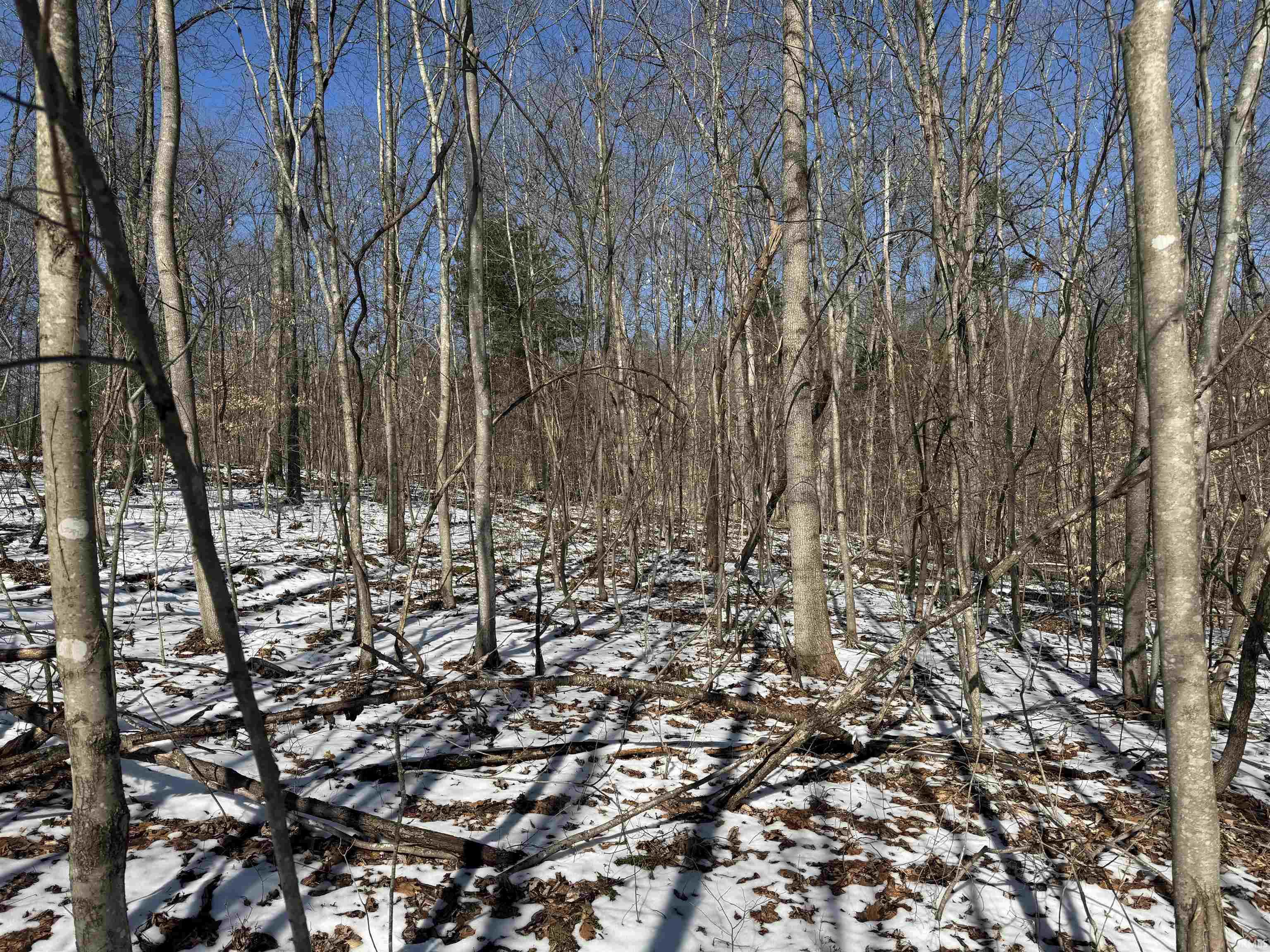 0 State Road 237 English, IN 47118 - Photo 26 of 36