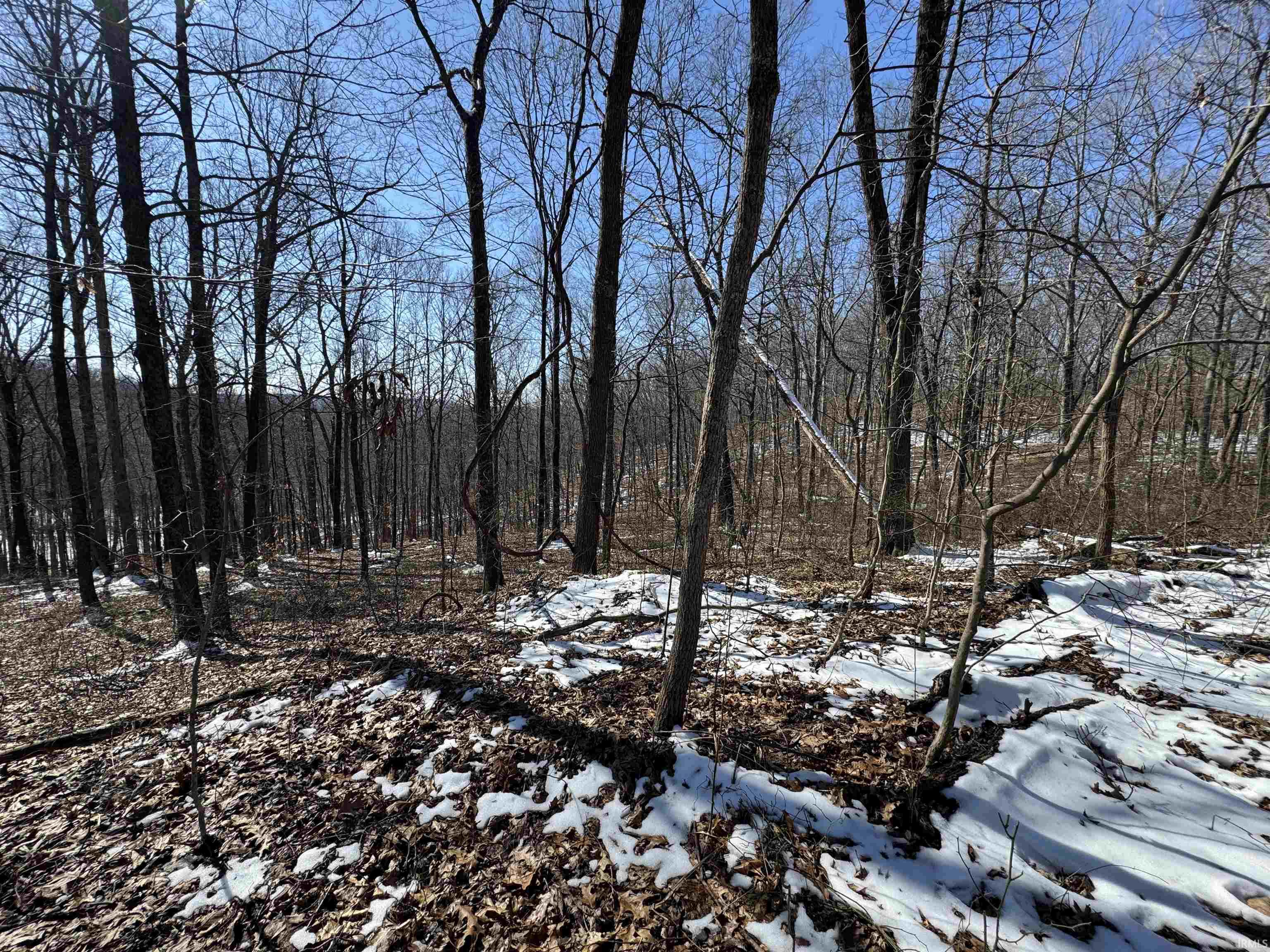 0 State Road 237 English, IN 47118 - Photo 31 of 36