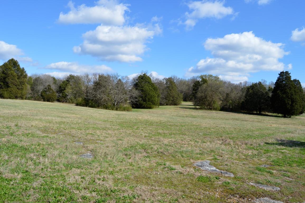 0 Preacher Robertson Road Castalian Springs, TN 37031 - Photo 18 of 30 Gallery Image 18
