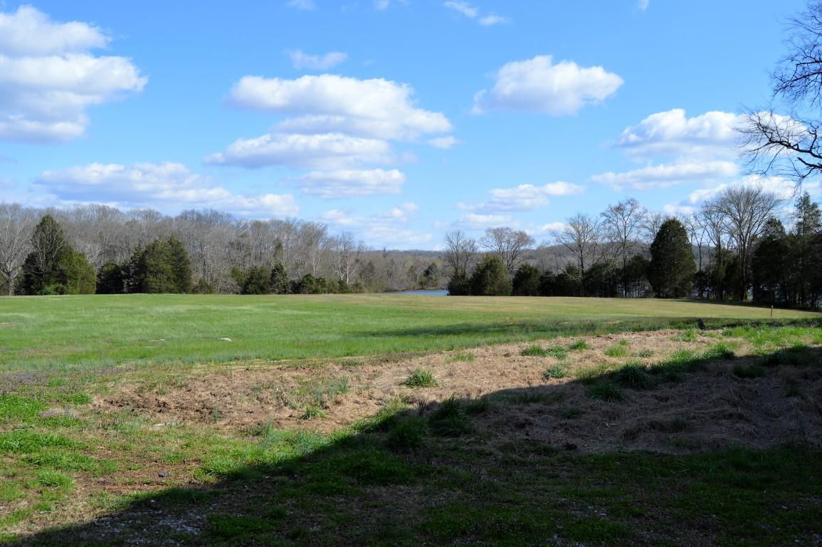 0 Preacher Robertson Road Castalian Springs, TN 37031 - Photo 19 of 30 Gallery Image 19