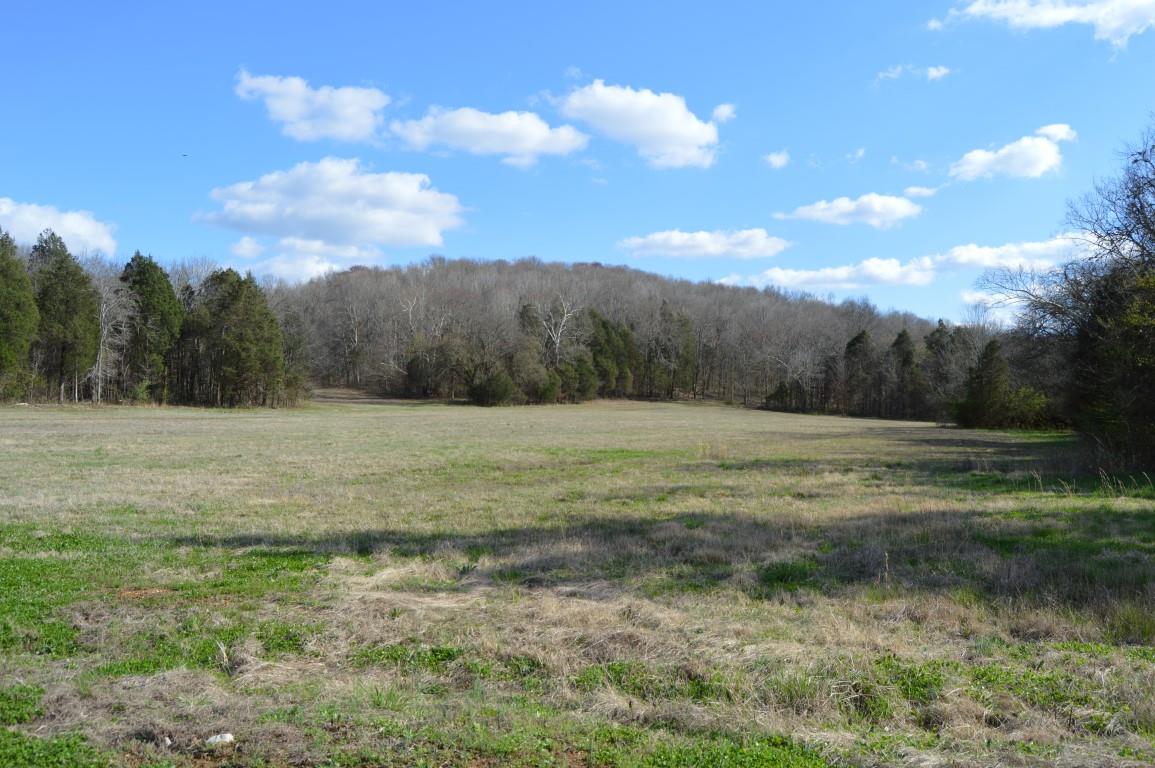 0 Preacher Robertson Road Castalian Springs, TN 37031 - Photo 24 of 30 Gallery Image 24